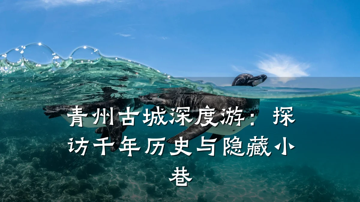 青州古城深度游:探访千年历史与隐藏小巷