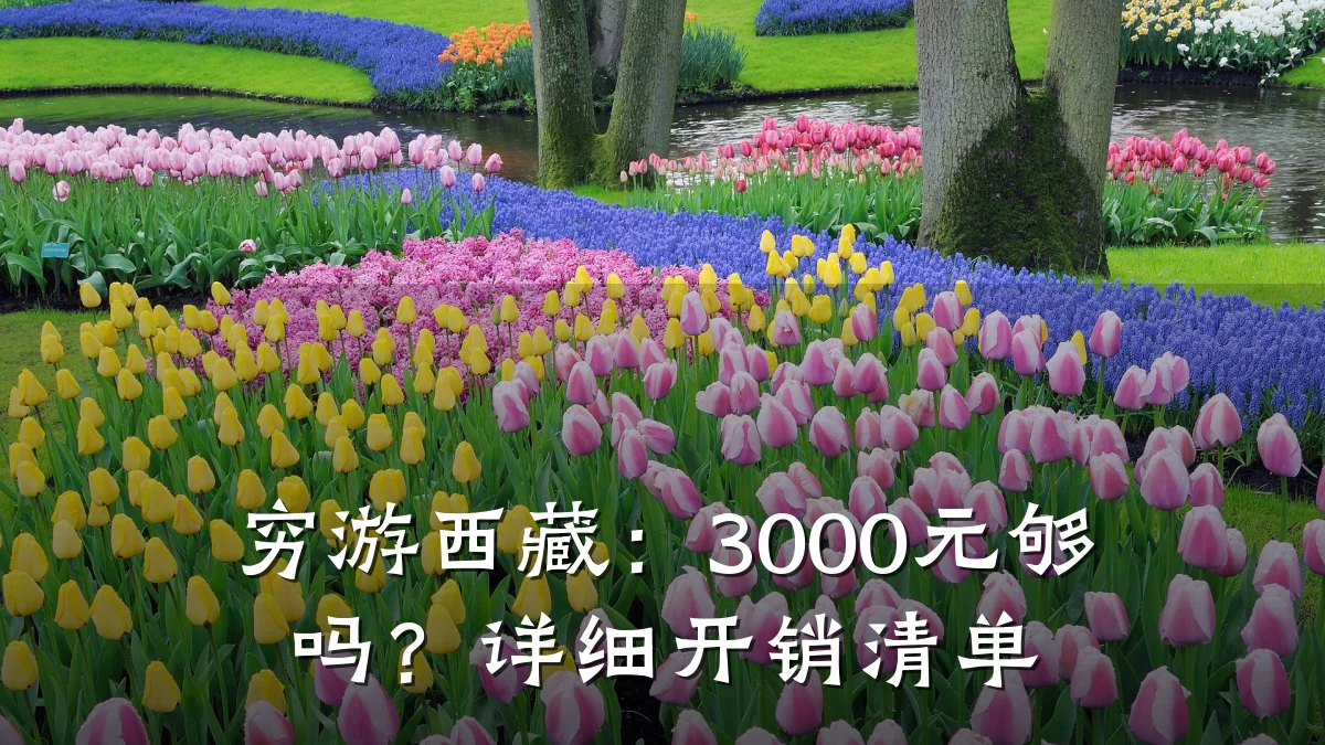 穷游西藏:3000元够吗?详细开销清单