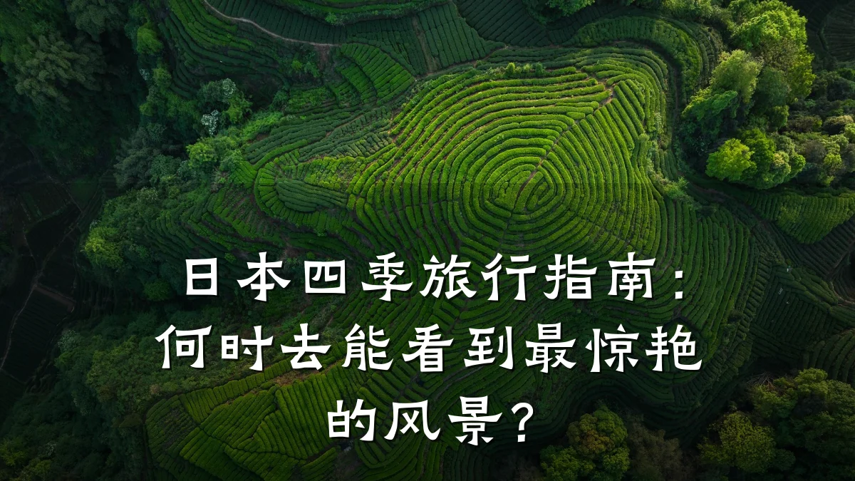 日本四季旅行指南:何时去能看到最惊艳的风景?