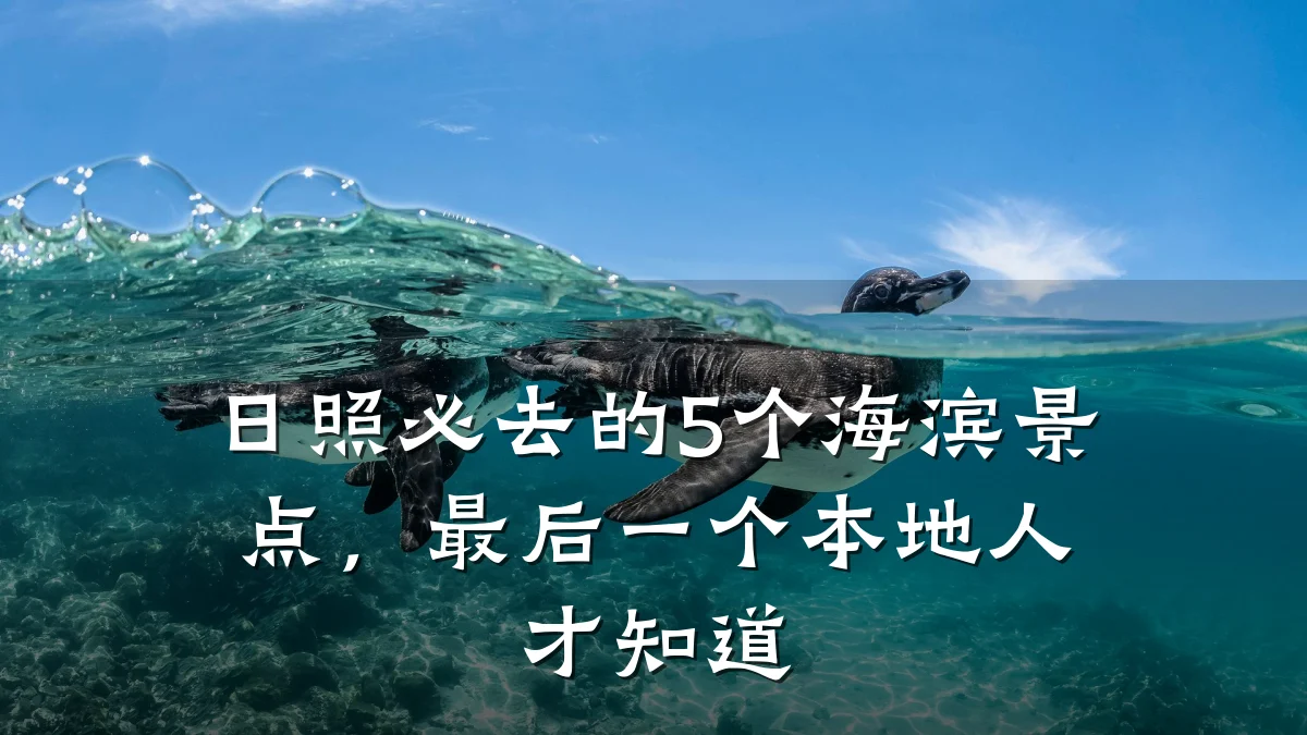 日照必去的5个海滨景点,最后一个本地人才知道