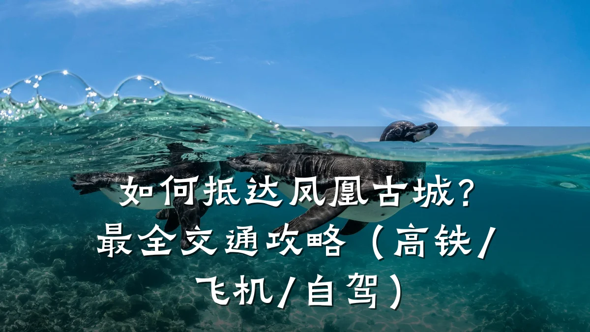 如何抵达凤凰古城?最全交通攻略(高铁/飞机/自驾)