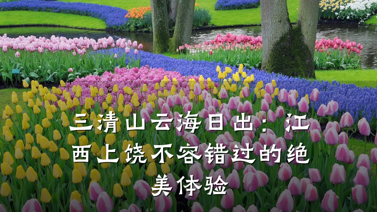 三清山云海日出:江西上饶不容错过的绝美体验