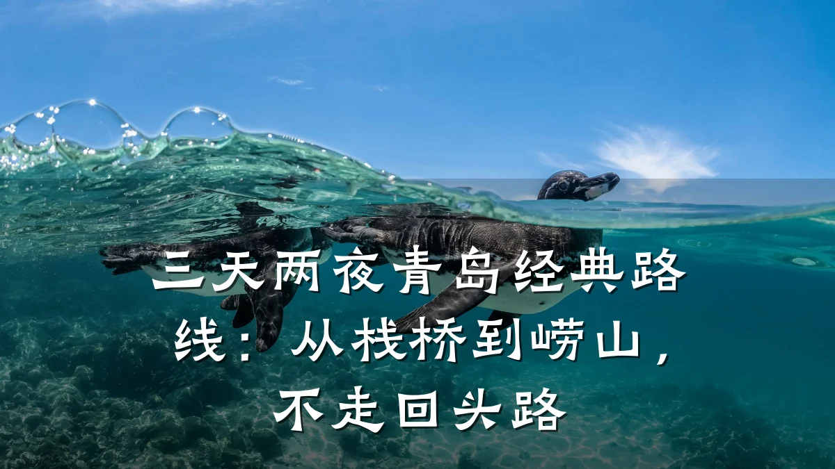 三天两夜青岛经典路线:从栈桥到崂山,不走回头路