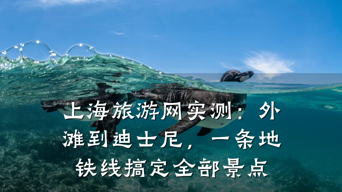 上海旅游网实测:外滩到迪士尼,一条地铁线搞定全部景点