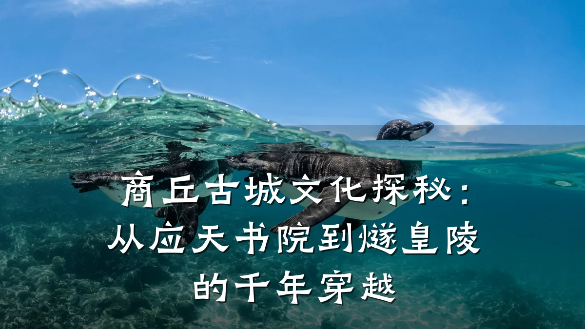 商丘古城文化探秘:从应天书院到燧皇陵的千年穿越