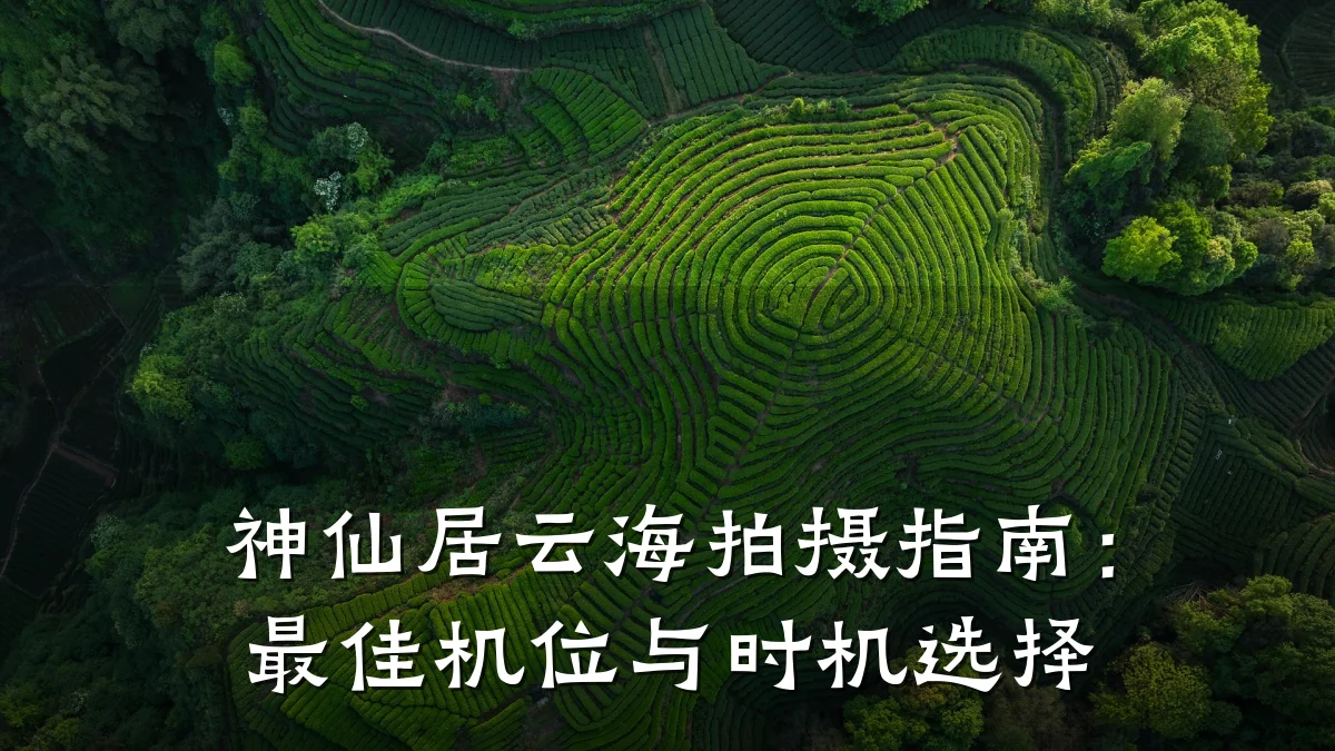 神仙居云海拍摄指南:最佳机位与时机选择
