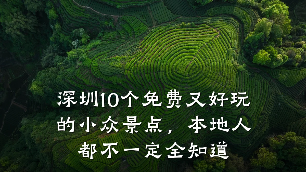 深圳10个免费又好玩的小众景点,本地人都不一定全知道