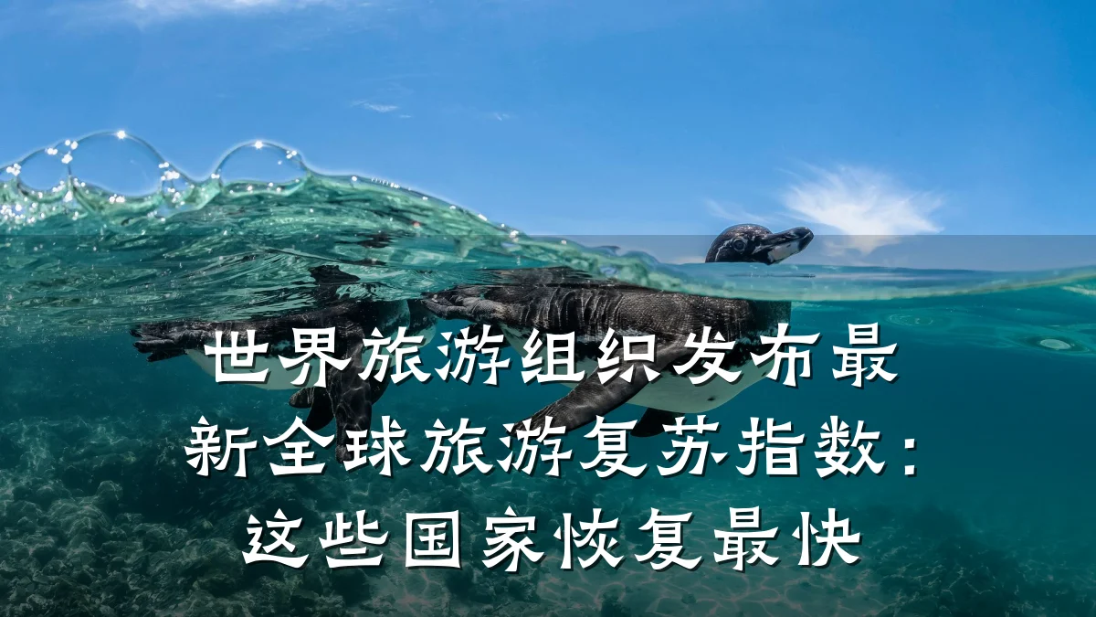 世界旅游组织发布最新全球旅游复苏指数:这些国家恢复最快