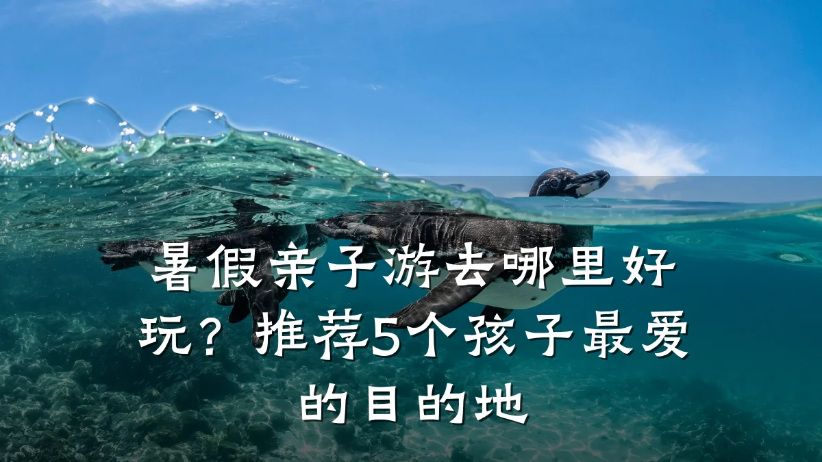 暑假亲子游去哪里好玩?推荐5个孩子最爱的目的地