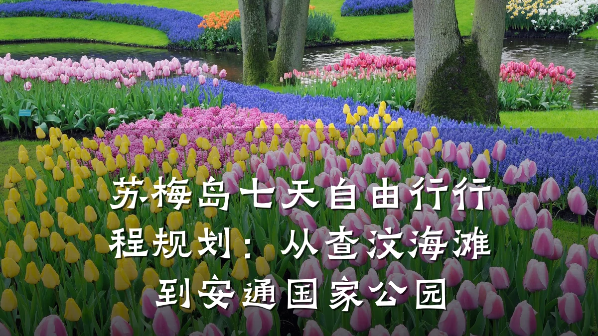 苏梅岛七天自由行行程规划:从查汶海滩到安通国家公园