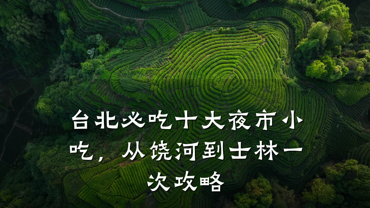 台北必吃十大夜市小吃,从饶河到士林一次攻略
