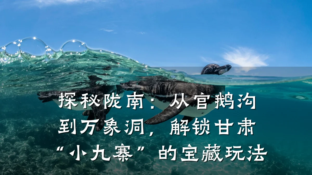 探秘陇南:从官鹅沟到万象洞,解锁甘肃“小九寨”的宝藏玩法