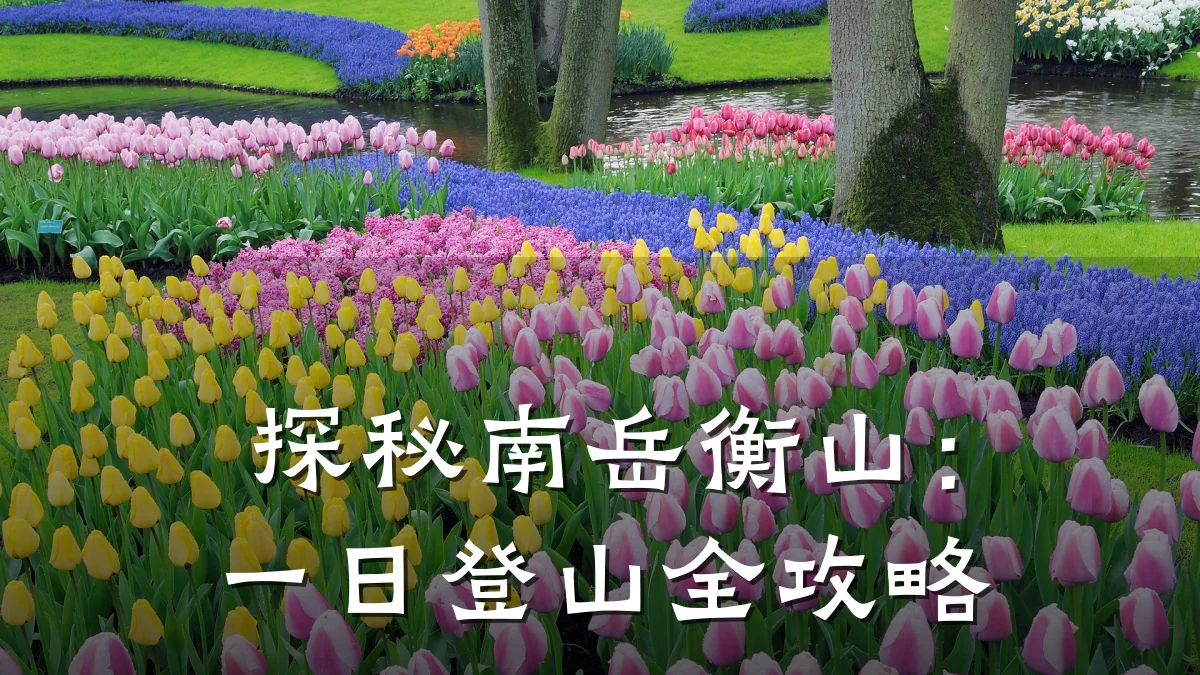 探秘南岳衡山:一日登山全攻略