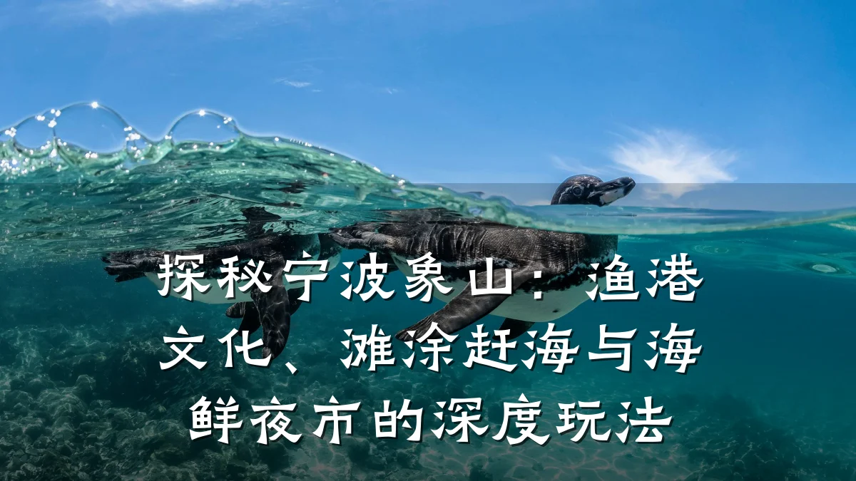 探秘宁波象山:渔港文化、滩涂赶海与海鲜夜市的深度玩法