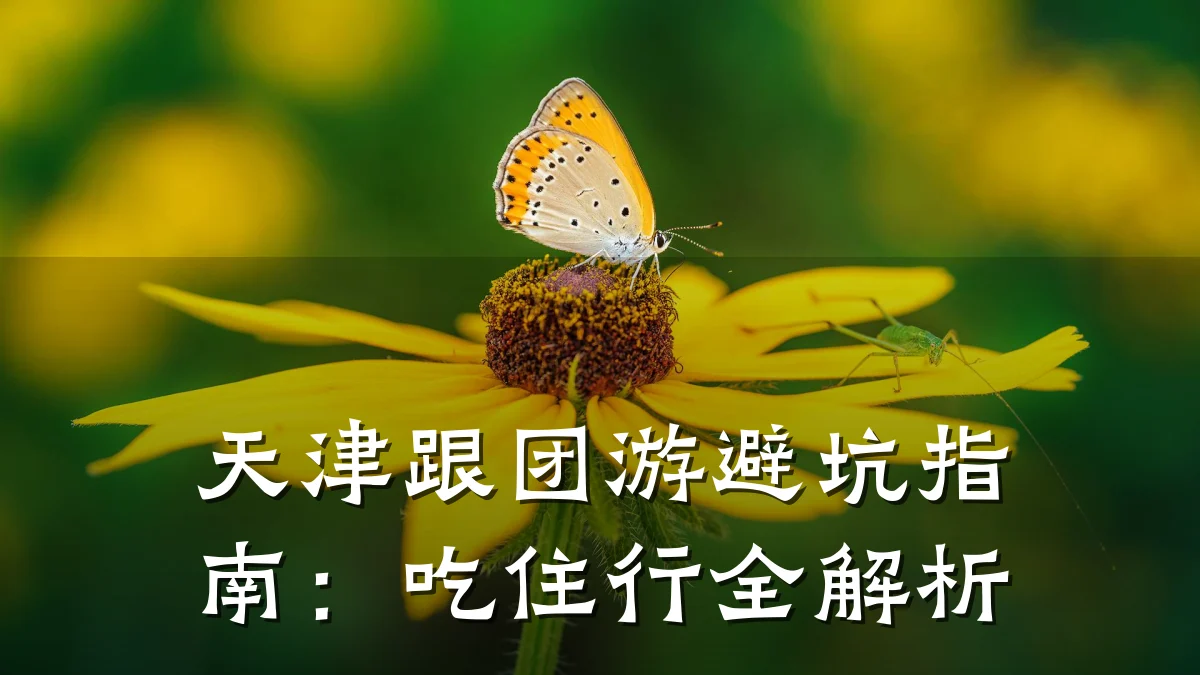 天津跟团游避坑指南:吃住行全解析
