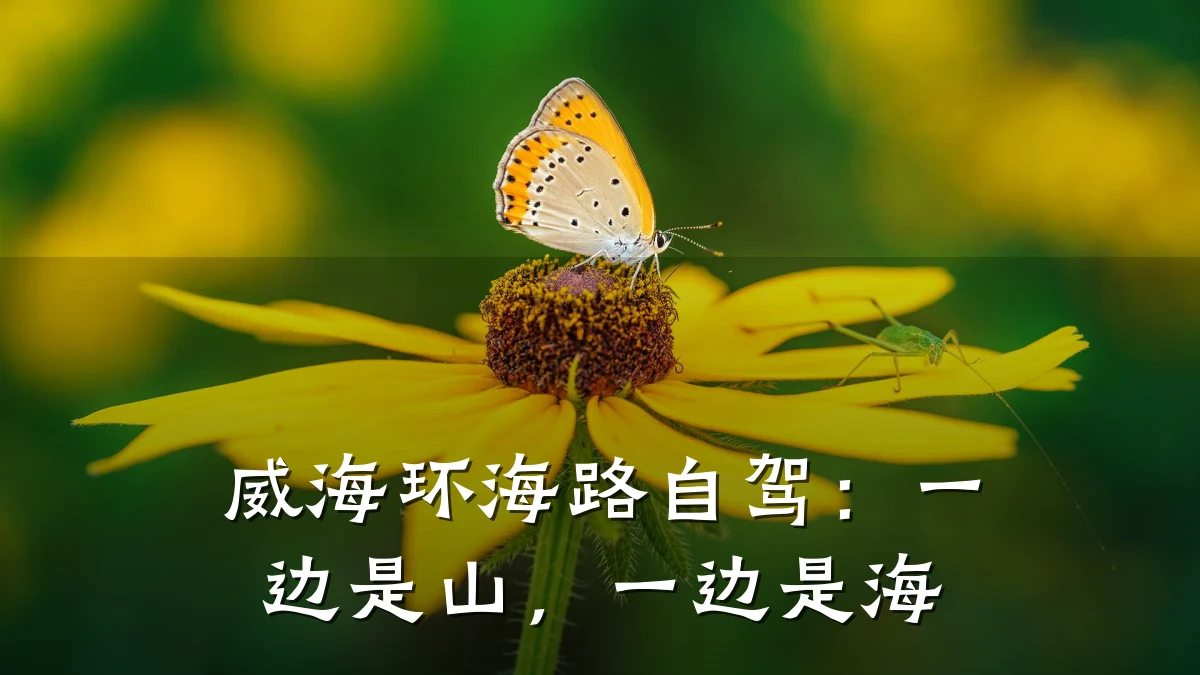 威海环海路自驾:一边是山,一边是海