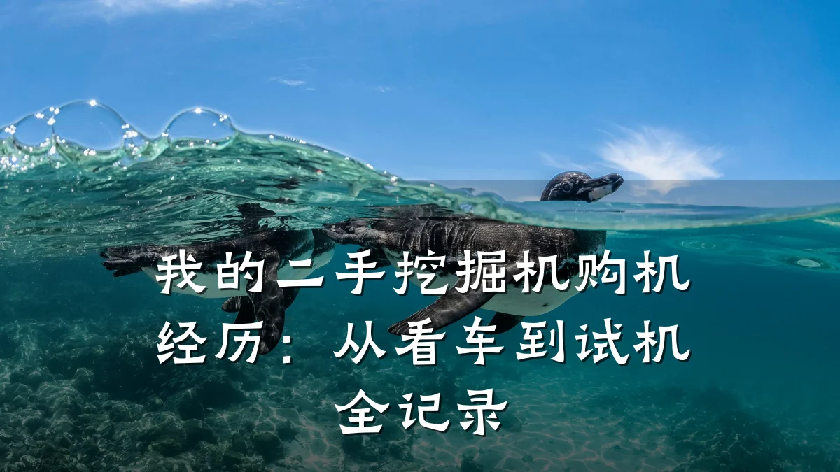 我的二手挖掘机购机经历:从看车到试机全记录