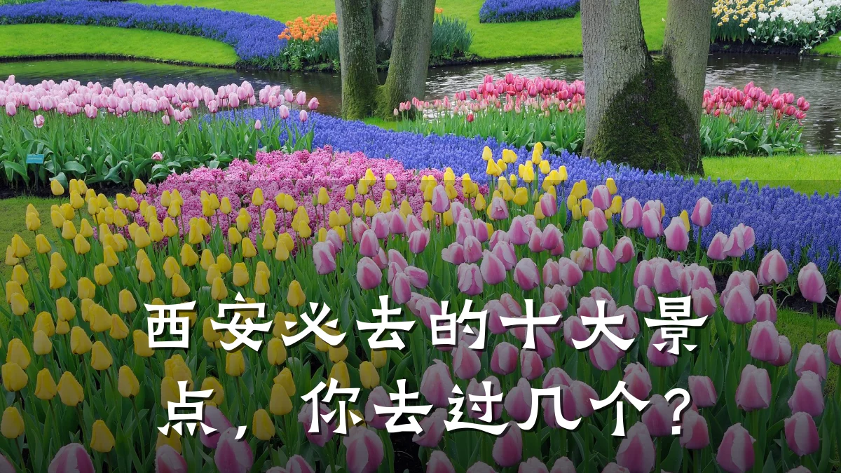 西安必去的十大景点，你去过几个？