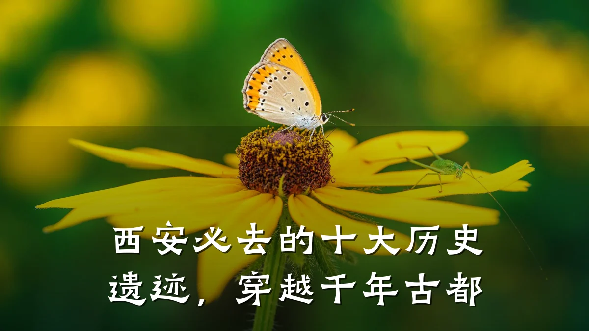 西安必去的十大历史遗迹,穿越千年古都