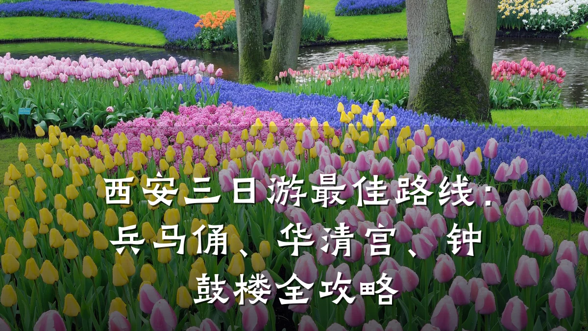 西安三日游最佳路线：兵马俑、华清宫、钟鼓楼全攻略