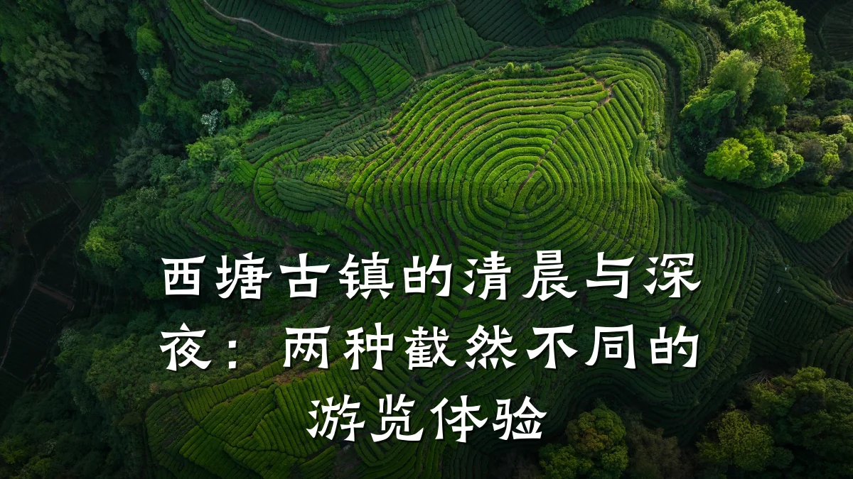 西塘古镇的清晨与深夜：两种截然不同的游览体验