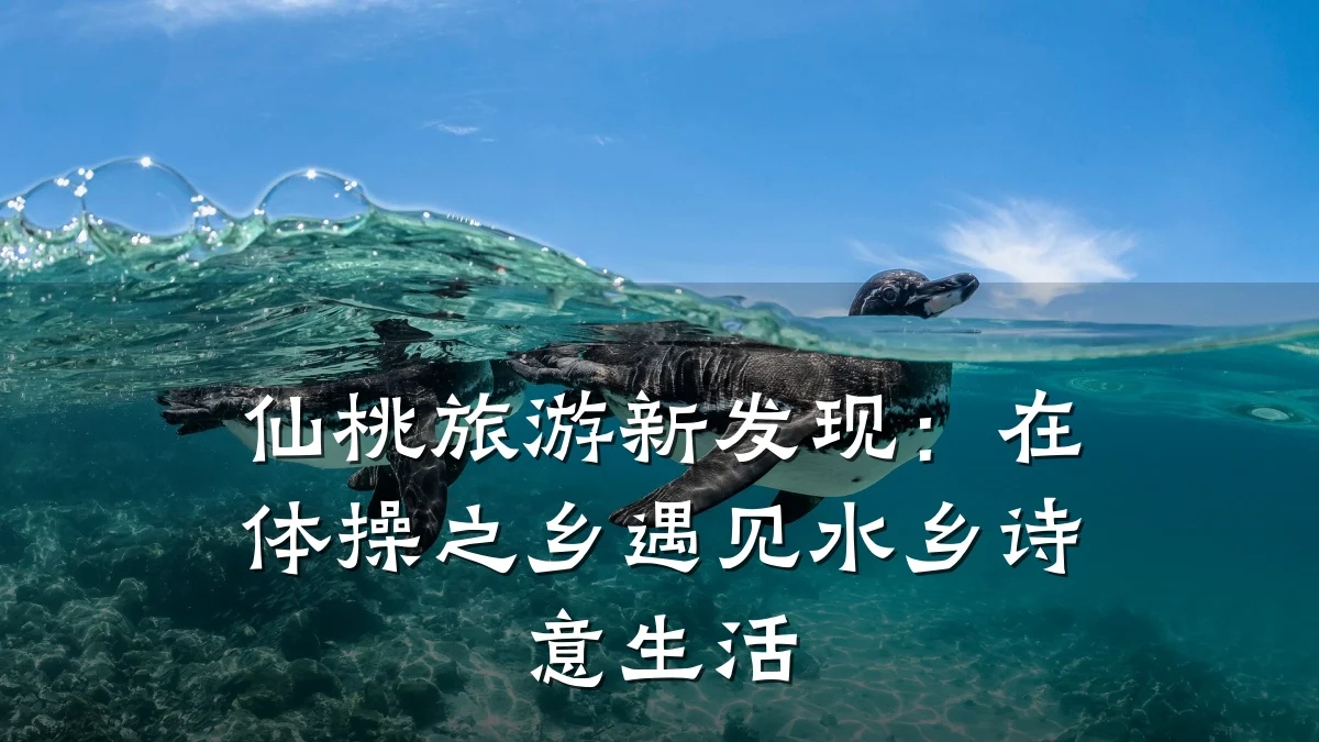 仙桃旅游新发现:在体操之乡遇见水乡诗意生活
