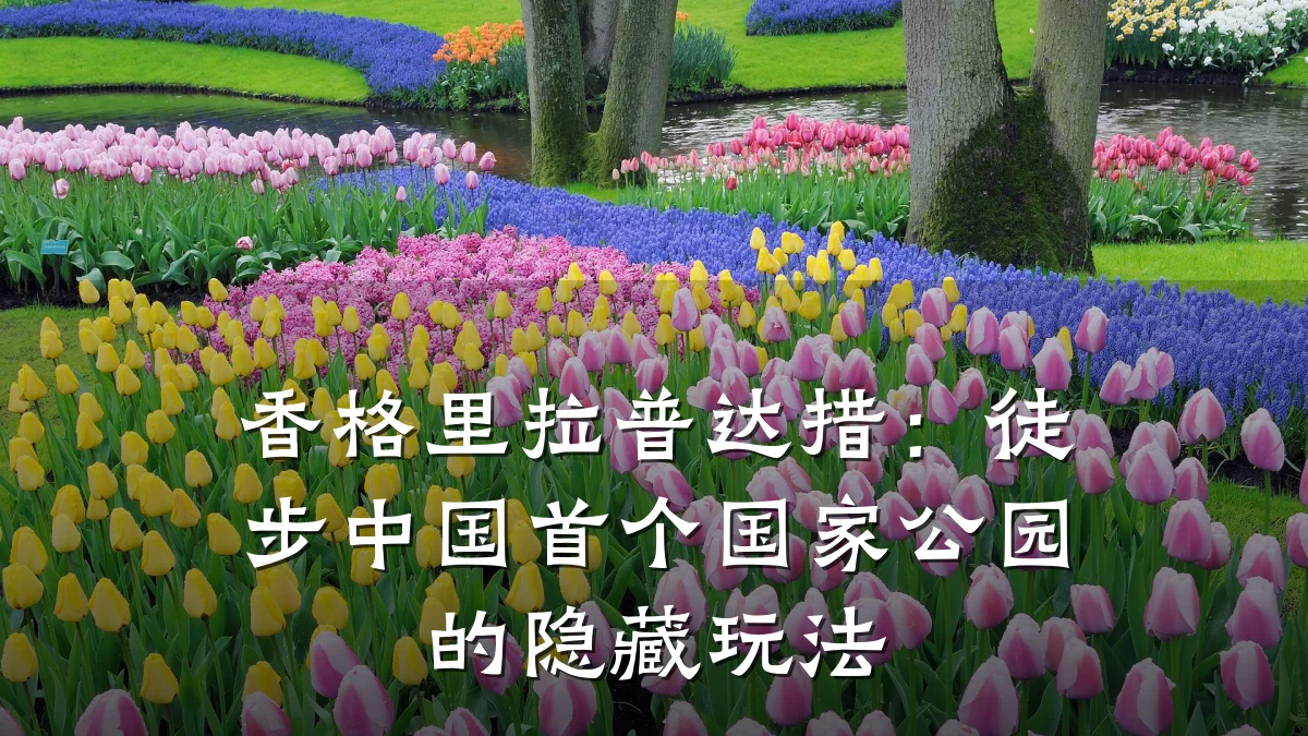 香格里拉普达措:徒步中国首个国家公园的隐藏玩法
