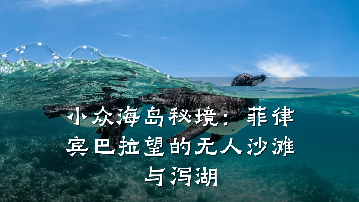 小众海岛秘境:菲律宾巴拉望的无人沙滩与泻湖