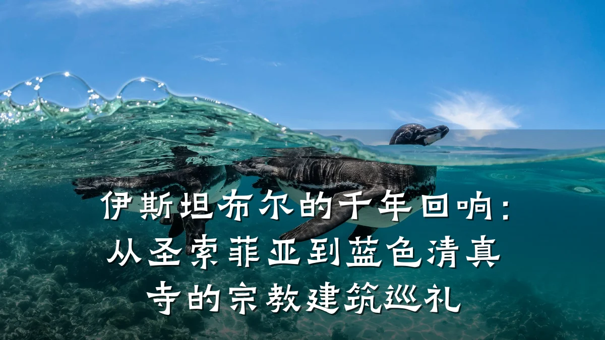伊斯坦布尔的千年回响:从圣索菲亚到蓝色清真寺的宗教建筑巡礼