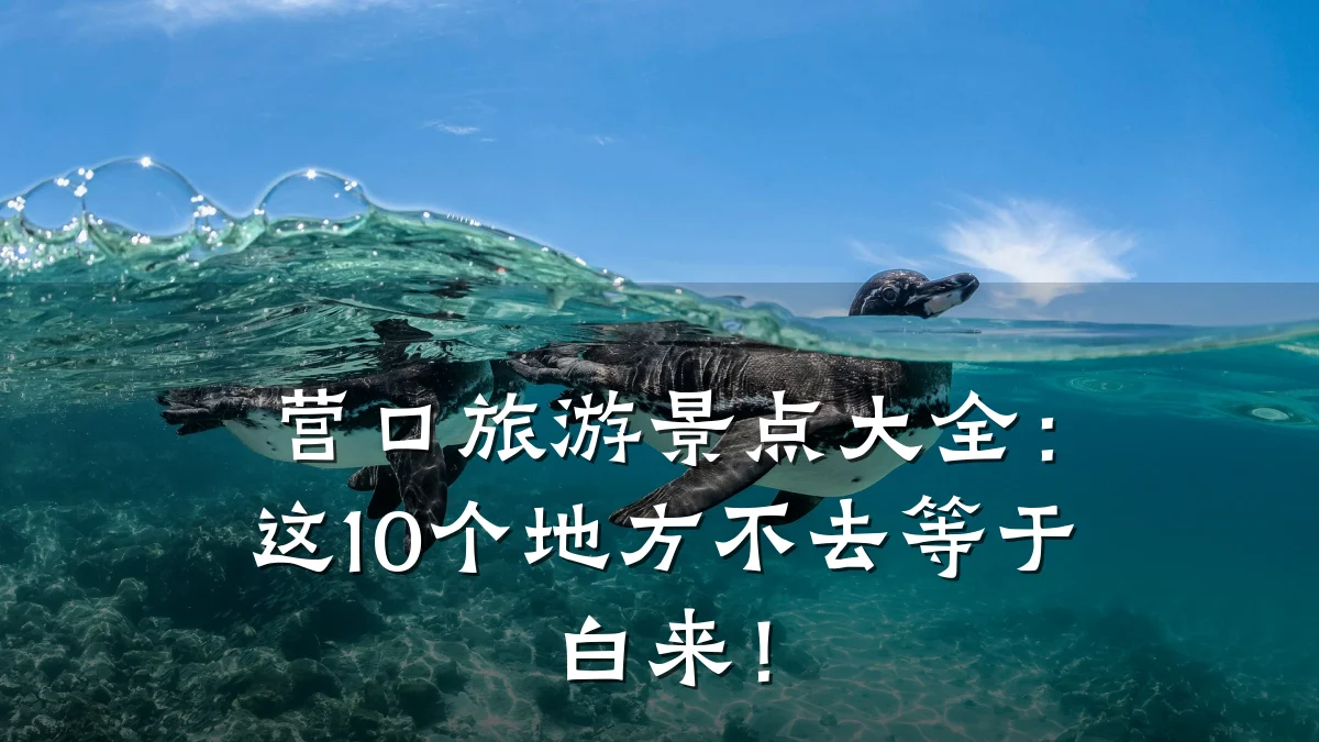 营口旅游景点大全:这10个地方不去等于白来!
