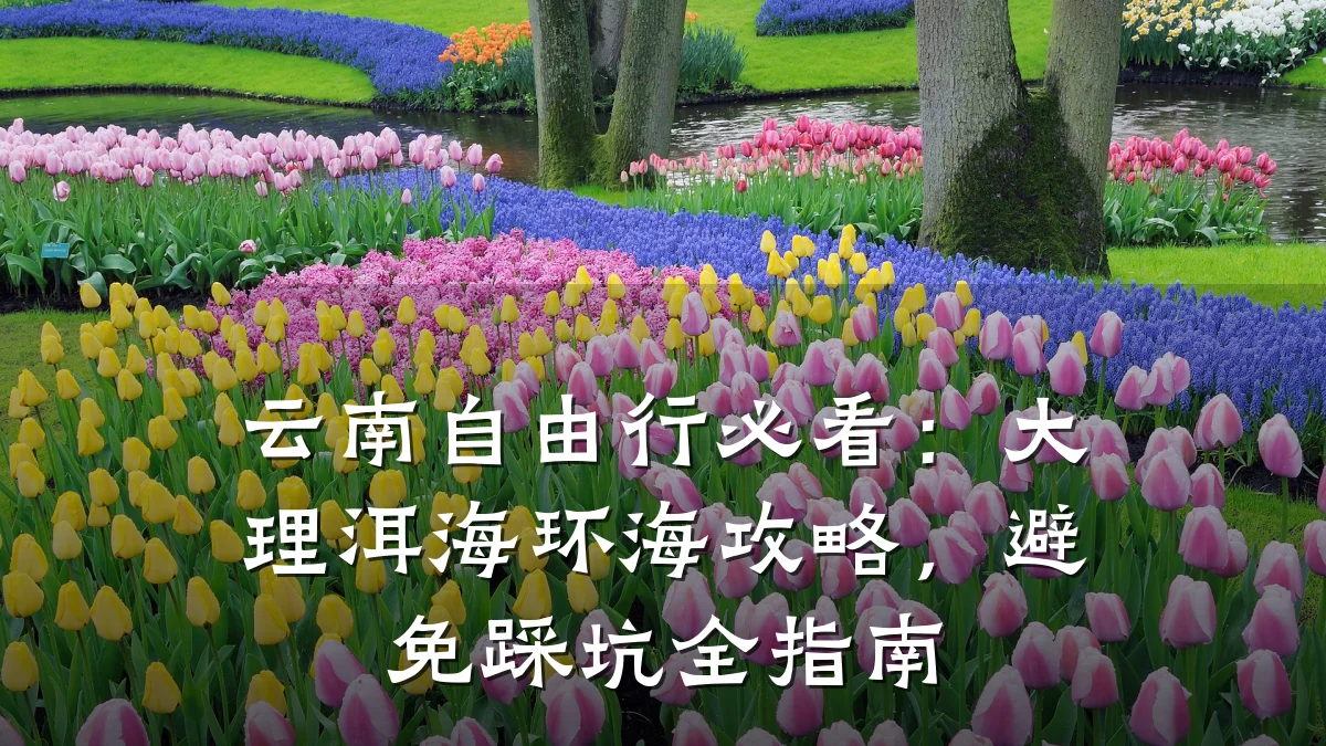 云南自由行必看:大理洱海环海攻略,避免踩坑全指南