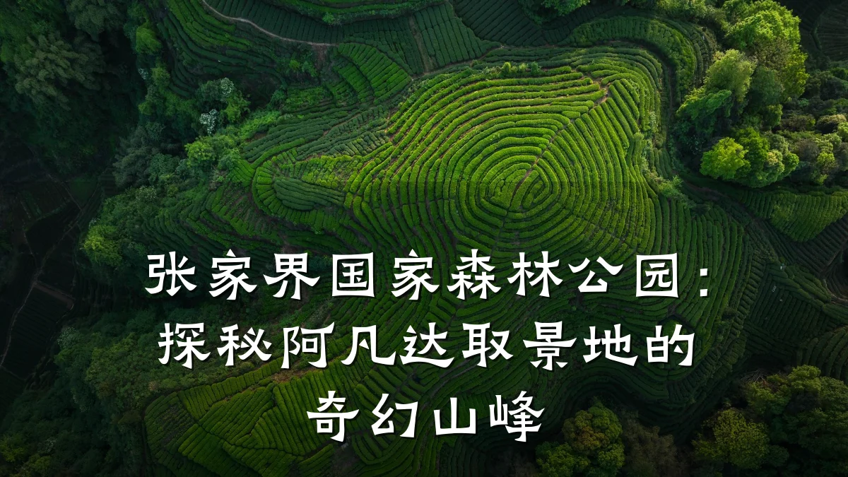 张家界国家森林公园:探秘阿凡达取景地的奇幻山峰