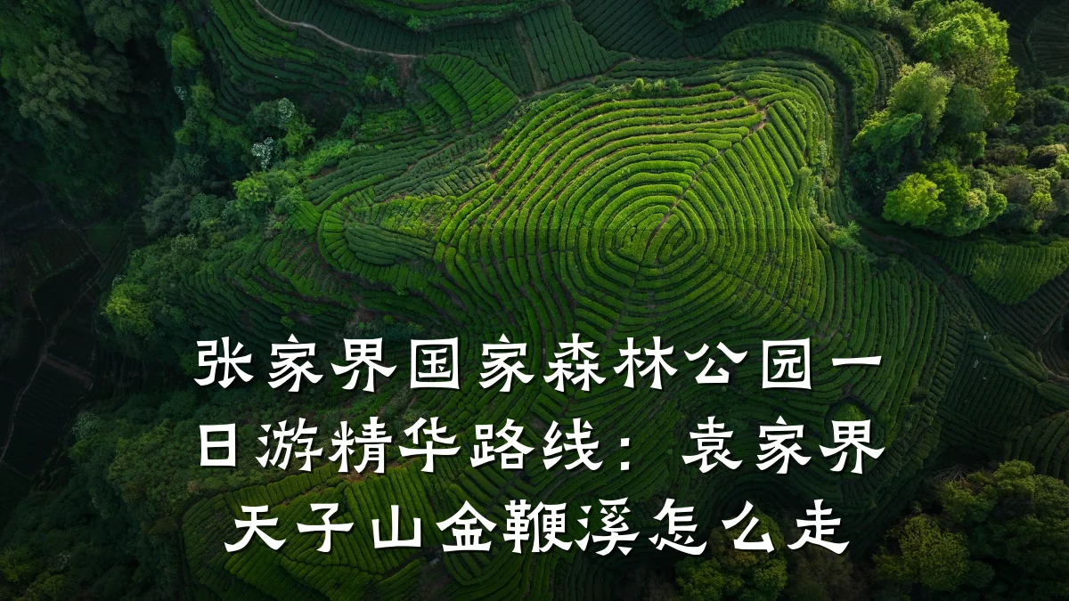 张家界国家森林公园一日游精华路线：袁家界天子山金鞭溪怎么走