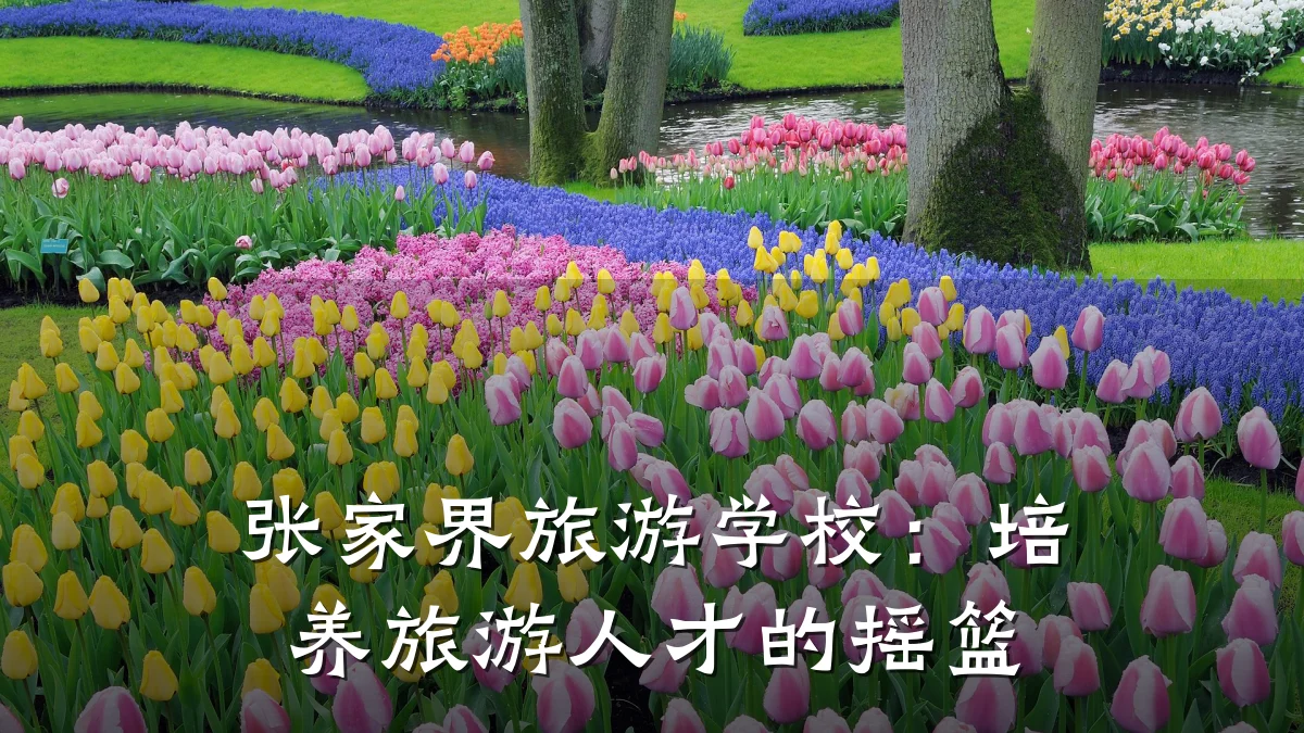 张家界旅游学校:培养旅游人才的摇篮