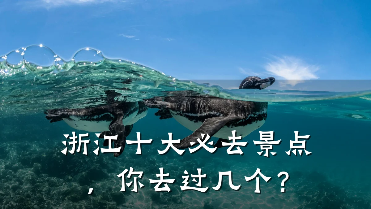 浙江十大必去景点，你去过几个？