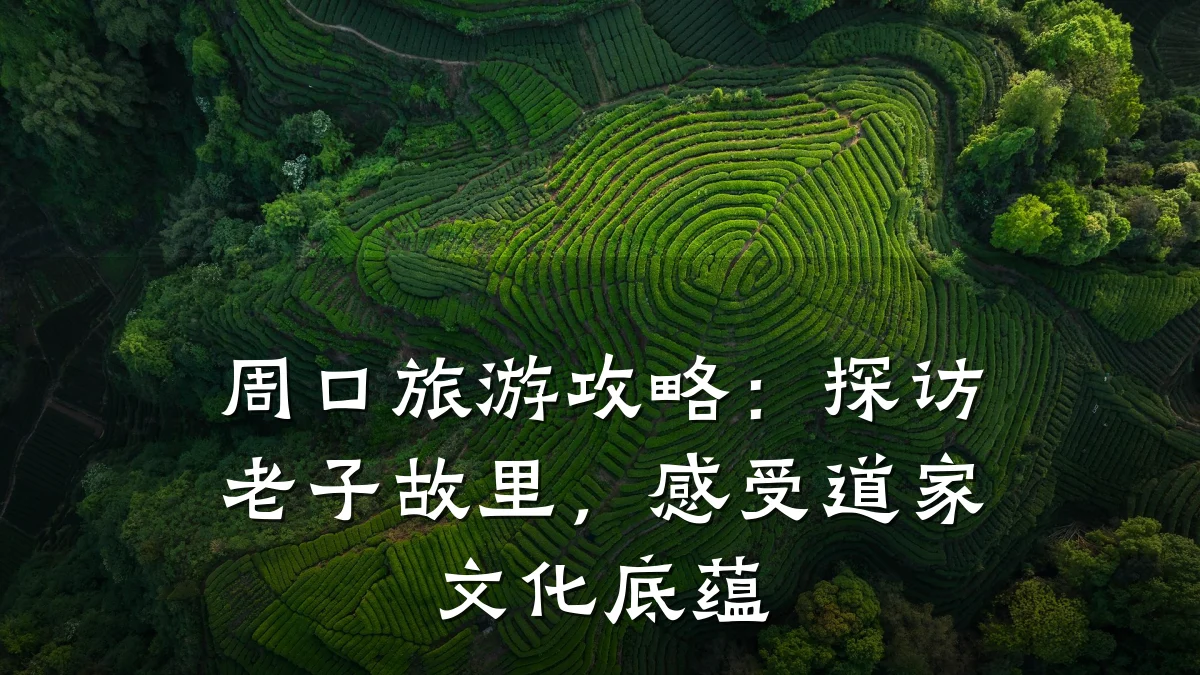 周口旅游攻略:探访老子故里,感受道家文化底蕴