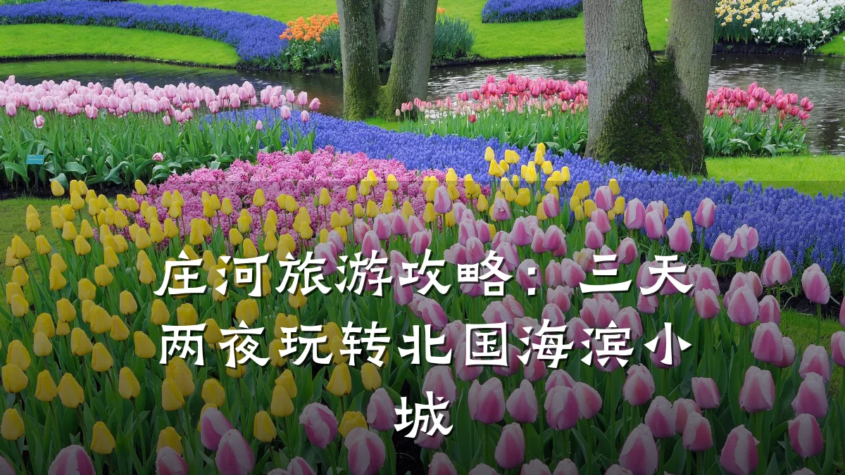 庄河旅游攻略:三天两夜玩转北国海滨小城