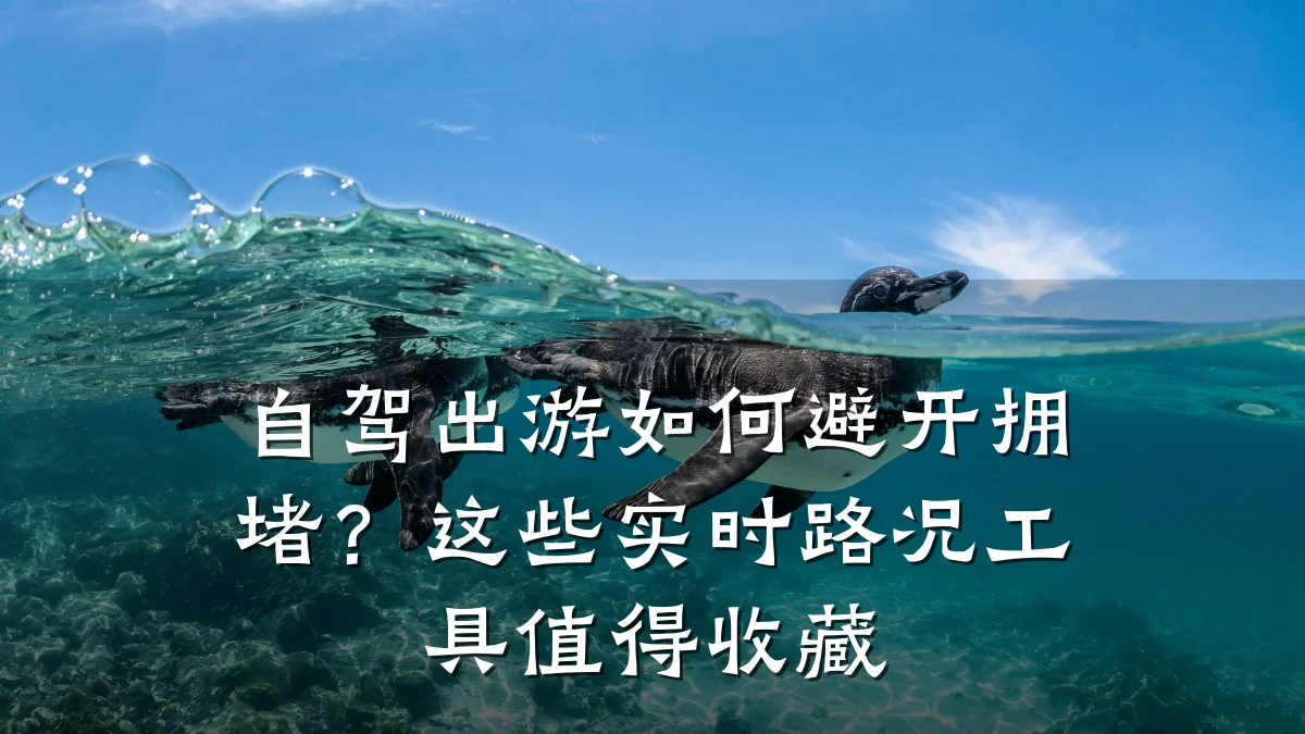 自驾出游如何避开拥堵?这些实时路况工具值得收藏