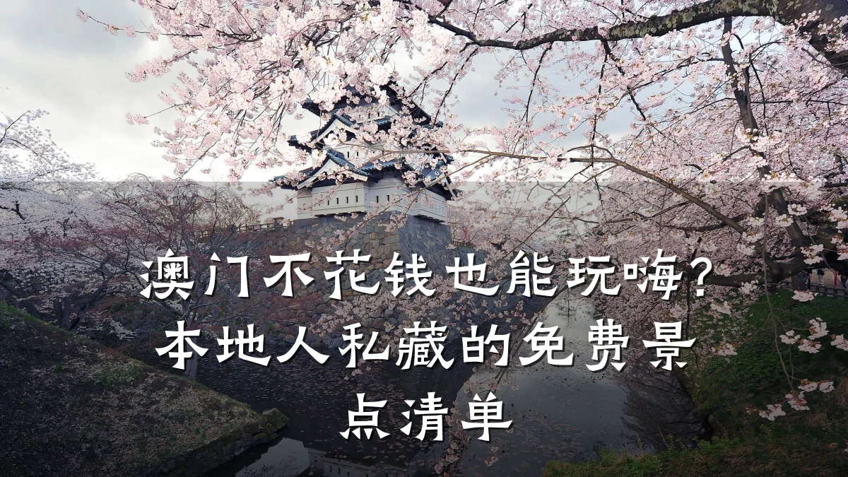澳门不花钱也能玩嗨?本地人私藏的免费景点清单