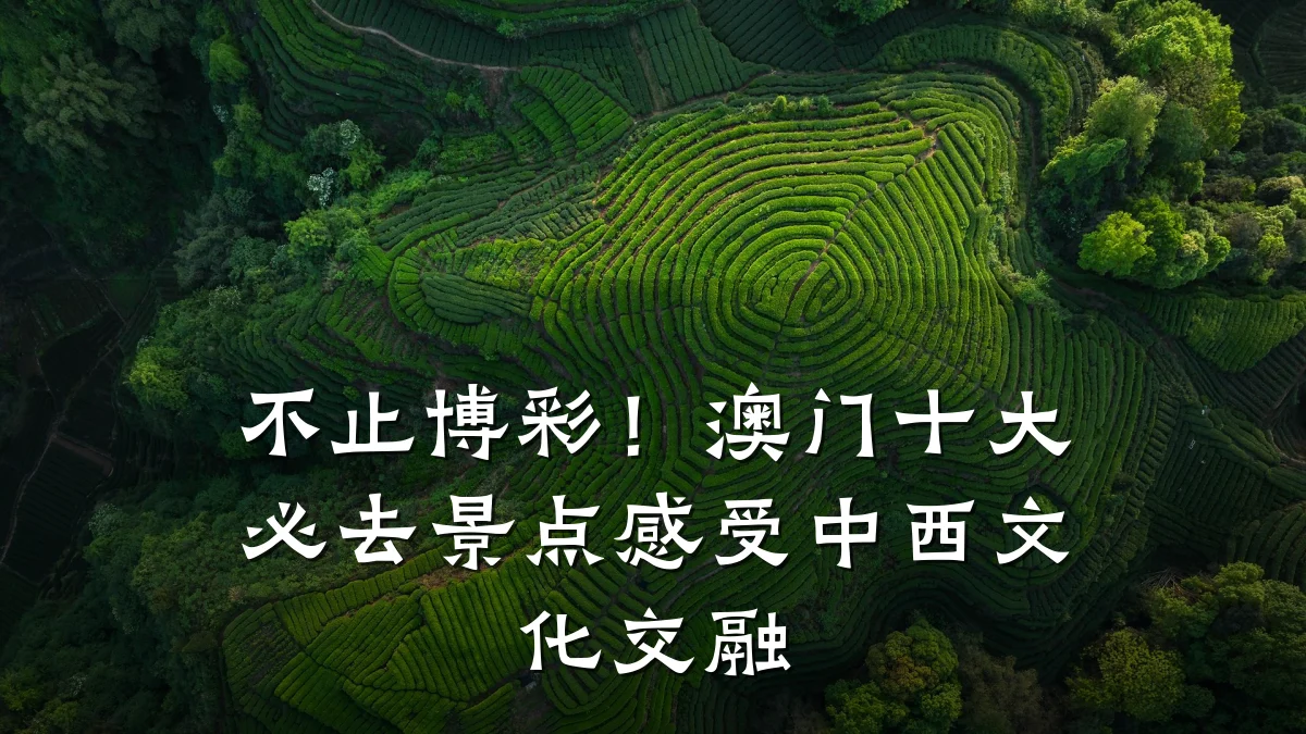 不止博彩!澳门十大必去景点感受中西文化交融