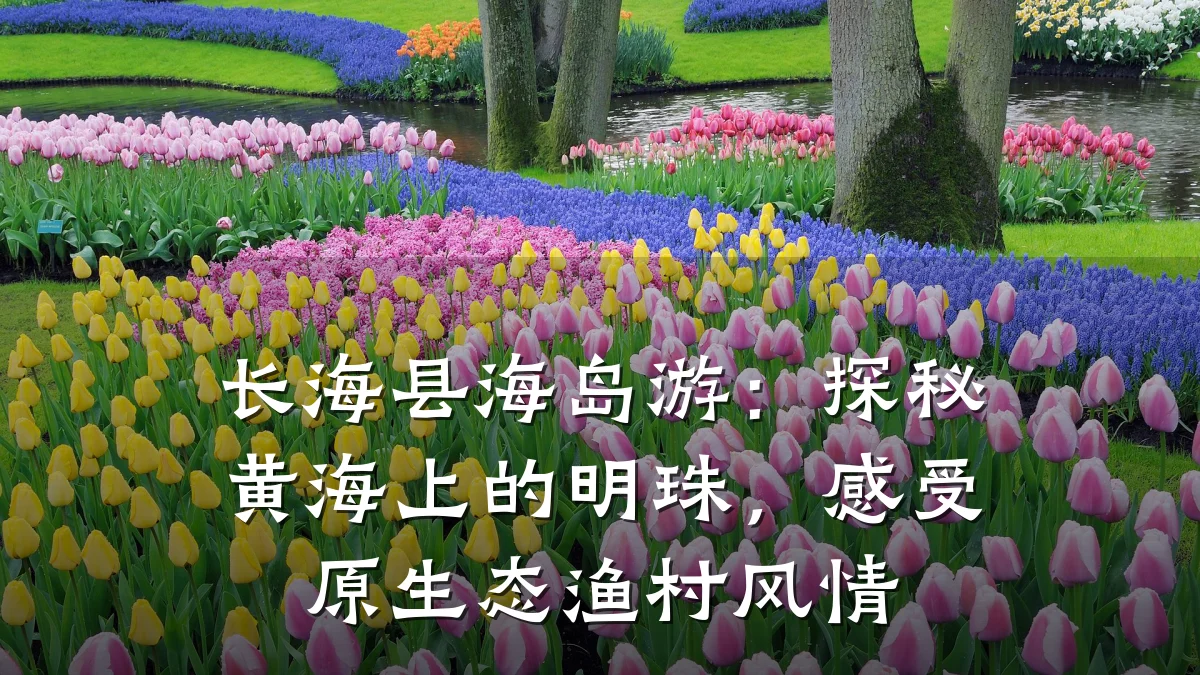长海县海岛游:探秘黄海上的明珠,感受原生态渔村风情
