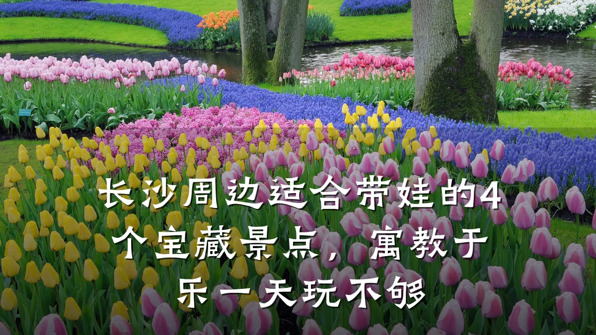 长沙周边适合带娃的4个宝藏景点,寓教于乐一天玩不够
