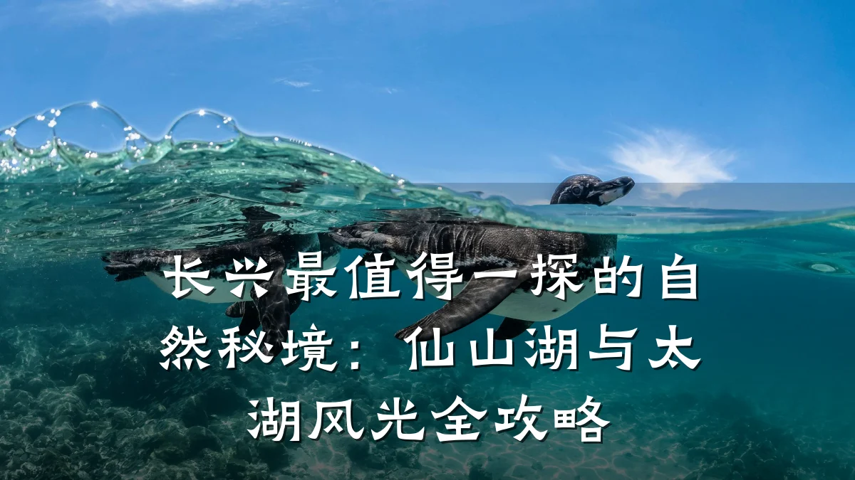 长兴最值得一探的自然秘境:仙山湖与太湖风光全攻略