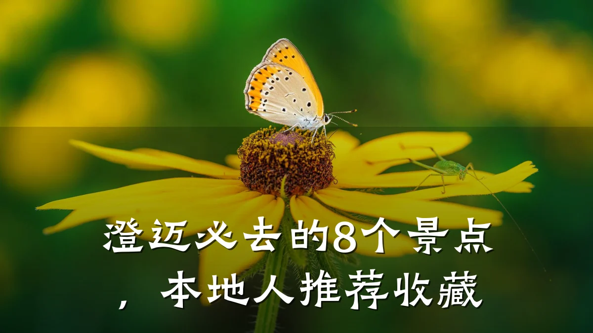 澄迈必去的8个景点,本地人推荐收藏