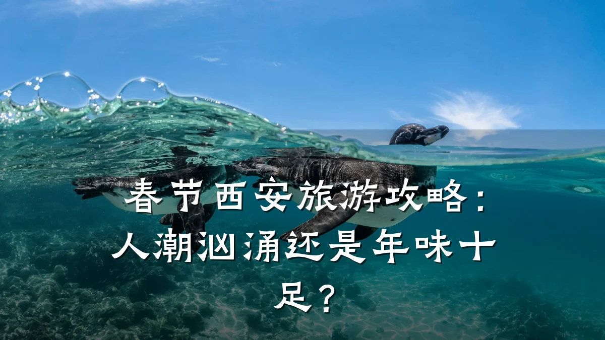 春节西安旅游攻略:人潮汹涌还是年味十足?
