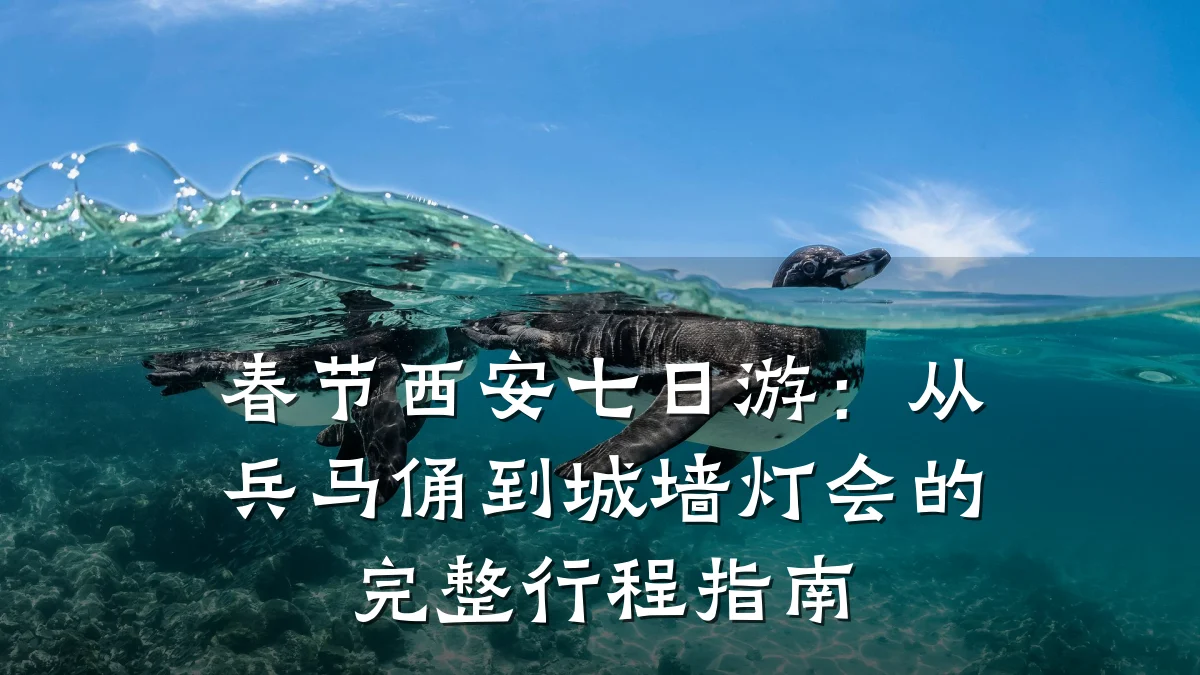 春节西安七日游:从兵马俑到城墙灯会的完整行程指南