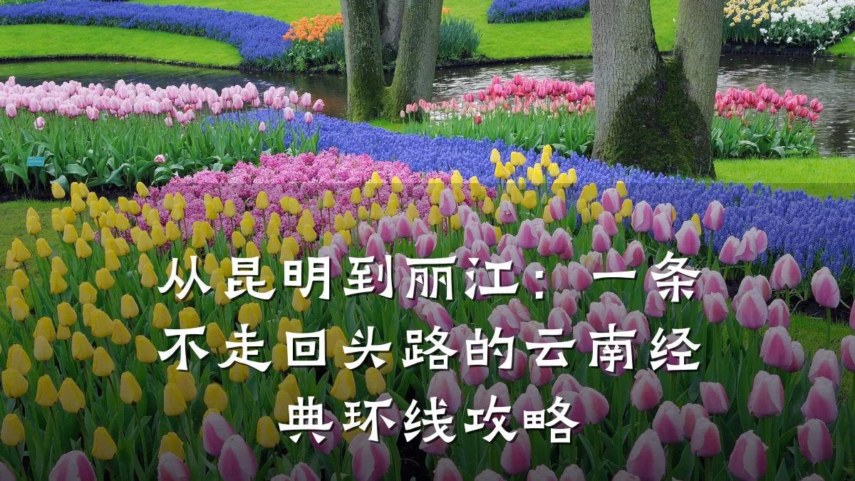 从昆明到丽江:一条不走回头路的云南经典环线攻略