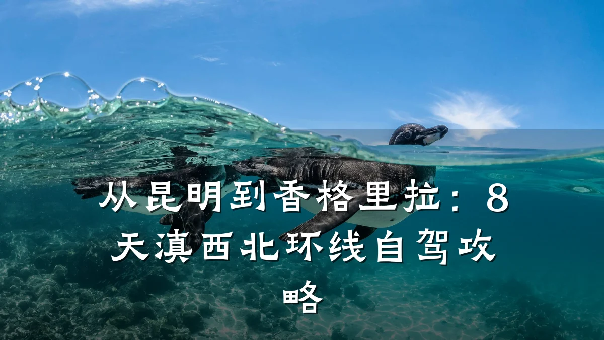 从昆明到香格里拉:8天滇西北环线自驾攻略