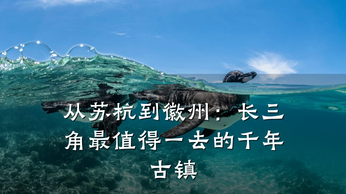 从苏杭到徽州:长三角最值得一去的千年古镇