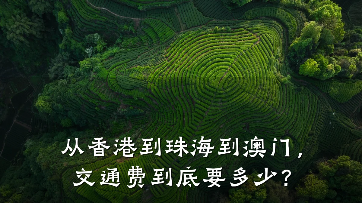 从香港到珠海到澳门,交通费到底要多少?